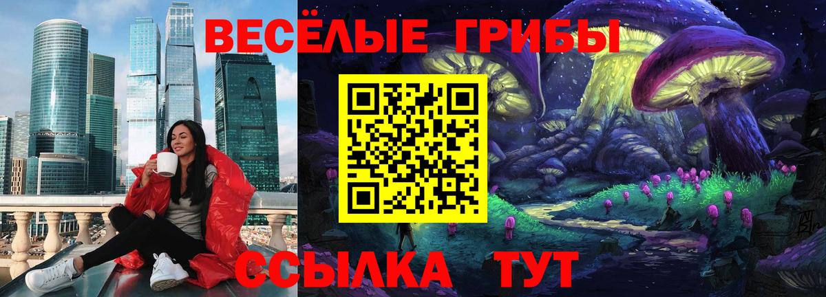 Псилоцибиновые грибы Psilocybine cubensis  Вход с VPN  магазин    Галлюциногенные грибы Magic Shrooms  Учалы 