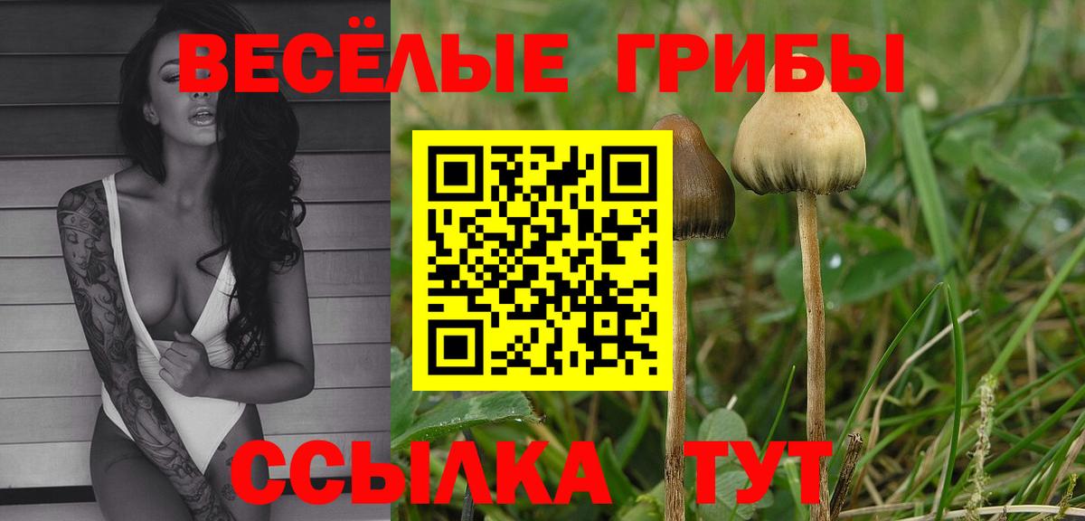 Псилоцибиновые грибы ЛСД Учалы